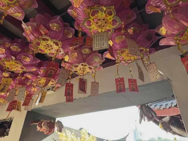 體育投注:被坑慘了的年輕人,已經放棄找旅遊搭子了