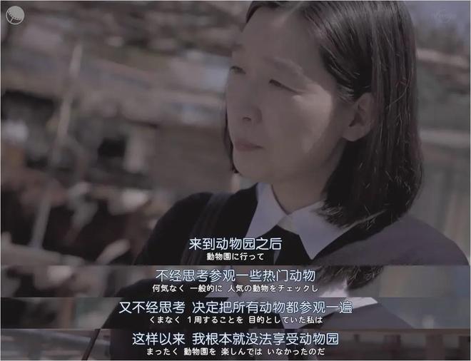 體育投注:被坑慘了的年輕人,已經放棄找旅遊搭子了